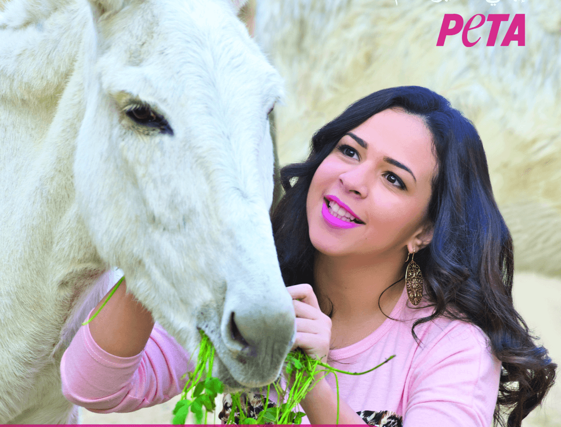 Egyptian Superstar Amy Samir Ghanem Calls for Kindness to Donkeys in Jordan