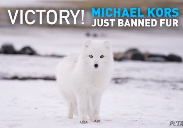 Breaking News: Michael Kors Bans Fur
