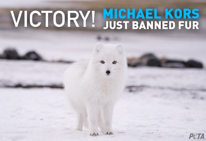 Breaking News: Michael Kors Bans Fur