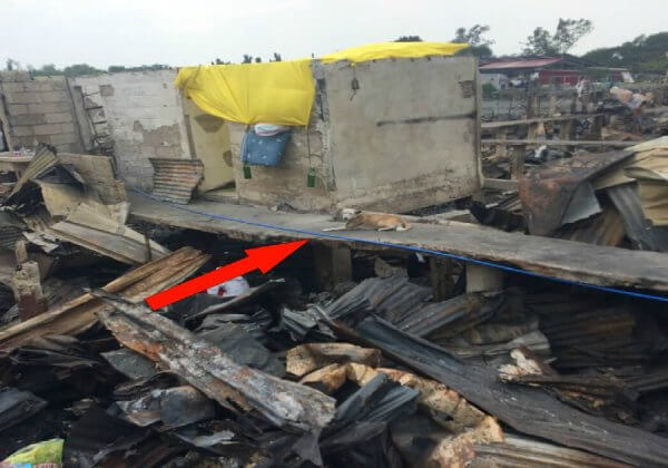 PETA Rushes to Help Animals After Disastrous Fire Breaks Out in the Philippines