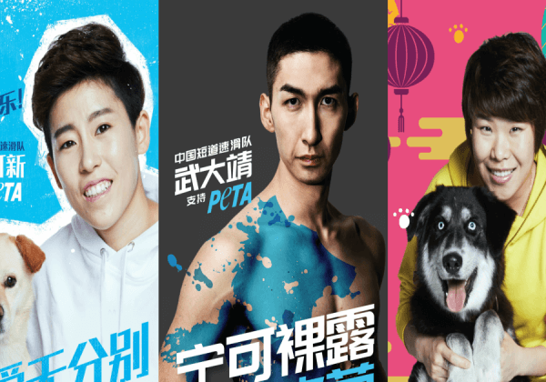China’s Olympic Champions Speak Up for Their Fluffy Friends