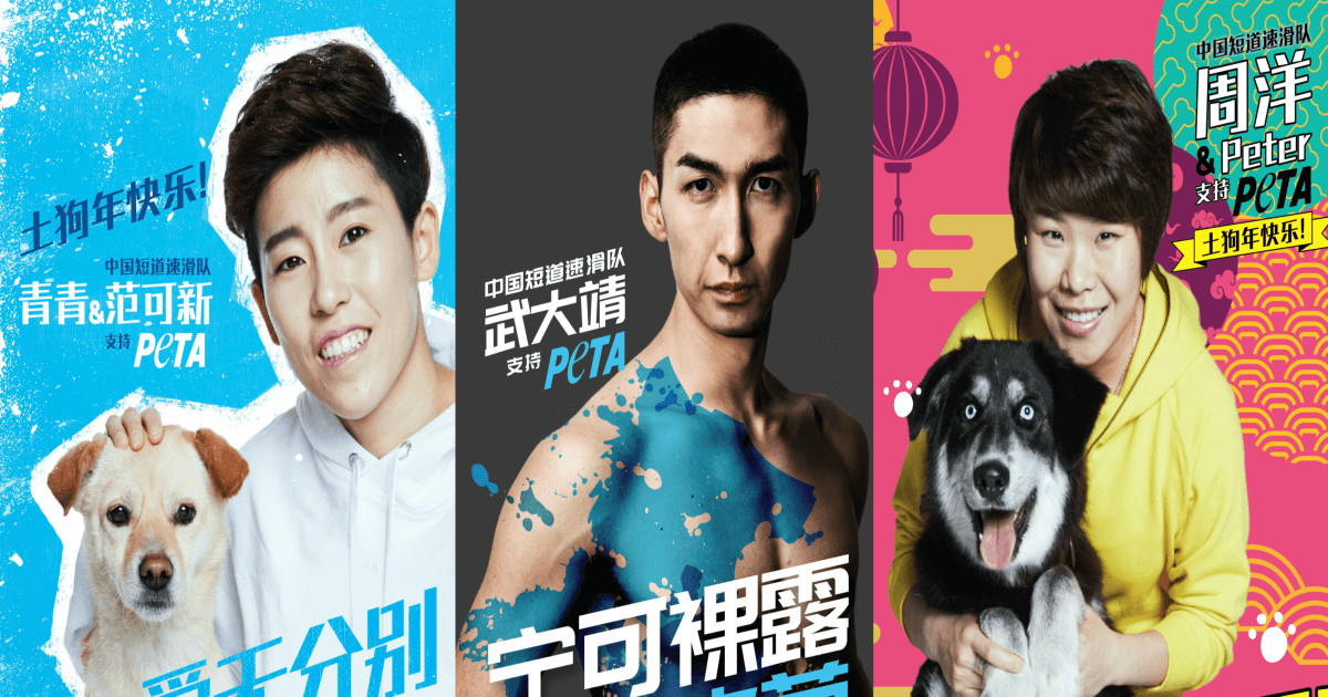 China’s Olympic Champions Speak Up for Their Fluffy Friends