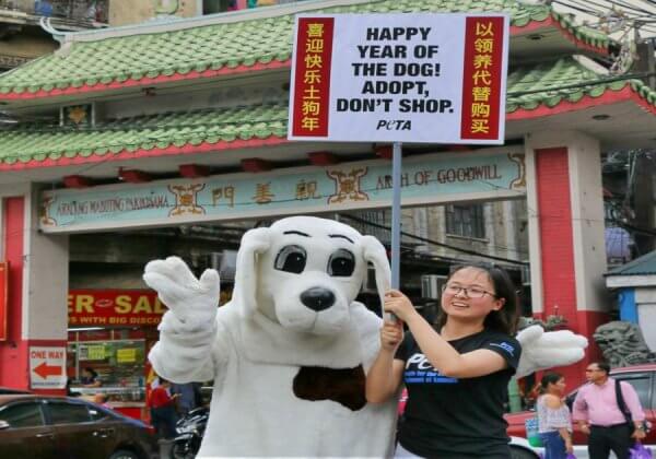 SPOTTED: A Big ‘Pup’ Celebrates Chinese New Year by Urging People to Adopt, Not Shop