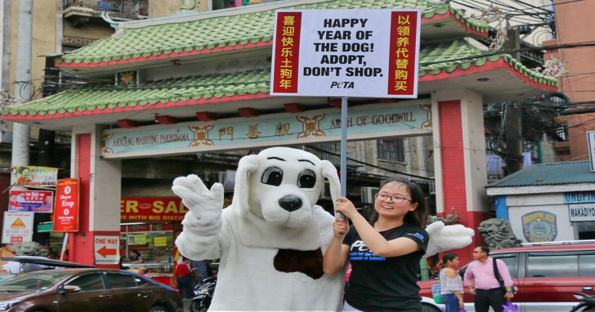 SPOTTED: A Big ‘Pup’ Celebrates Chinese New Year by Urging People to Adopt, Not Shop
