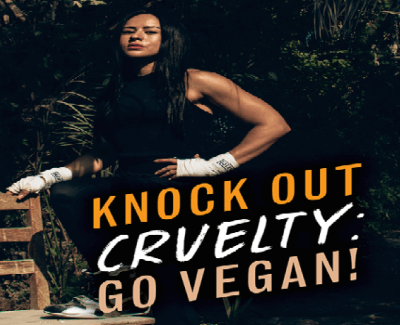 Vegan Boxing Champion Arifa Bseiso Knocks Out Cruelty in New PETA Ad