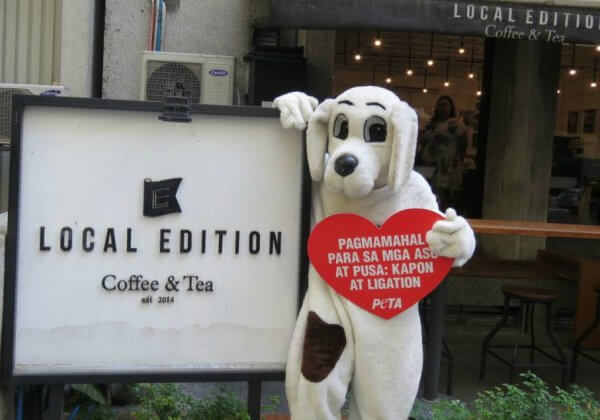 How Your Soy Latte Can Help Dogs and Cats in the Philippines