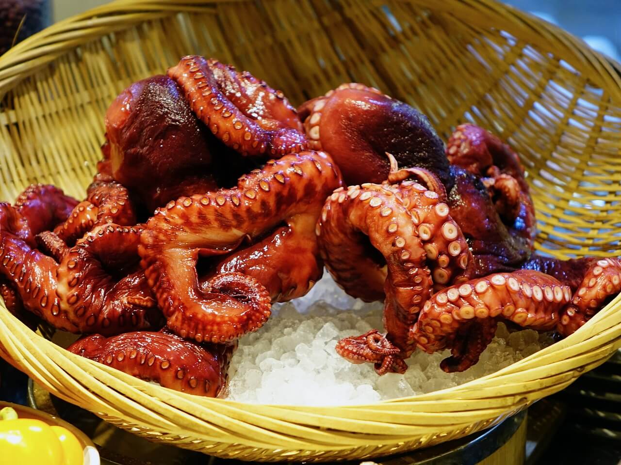 Watch: Octopus Stabbed and Eaten ALIVE