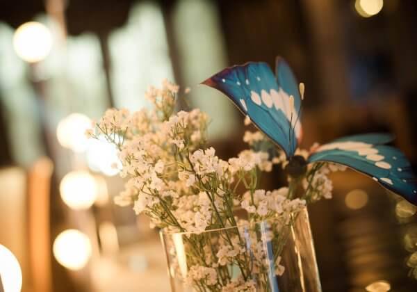 Butterfly Releases at Weddings and Other Events Are Bad for Animals