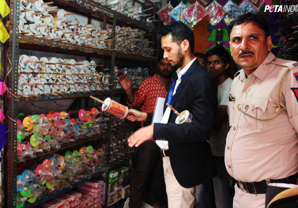 Police Raid Spares Birds from Having Their Legs and Wings Slashed