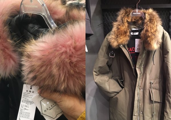 Urge Meters/bonwe to Stop Selling Fur