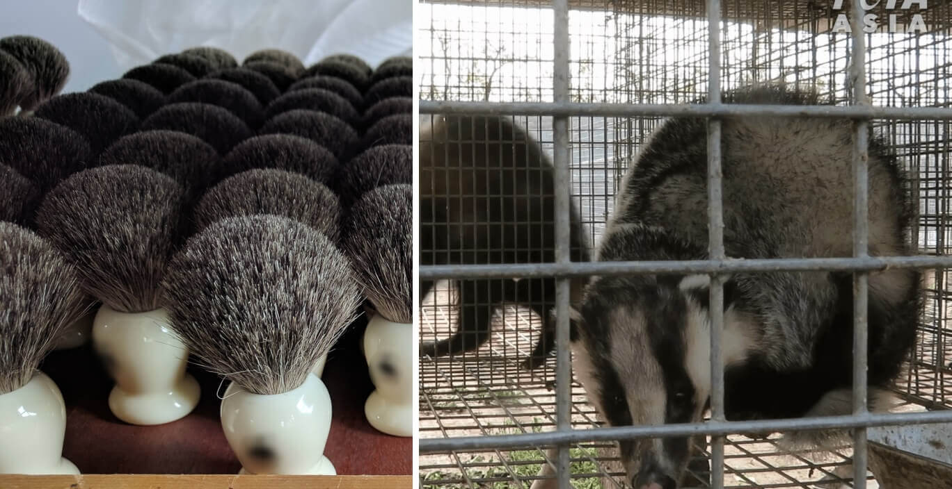 animal hair brush