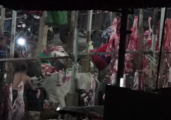 New Footage Reveals Even More Shocking Abuse Inside Cambodia’s Meat And Leather Industry