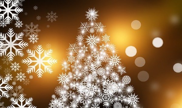 Nochebuena: The Vegan Way