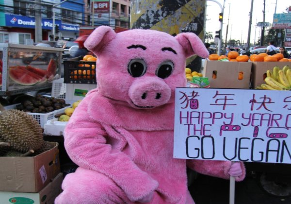 Video: This ‘Pig’ Is Celebrating Chinese New Year by Asking People to Go Vegan
