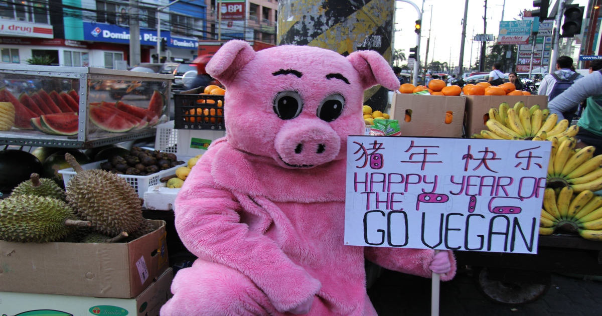 Video: This ‘Pig’ Is Celebrating Chinese New Year by Asking People to Go Vegan