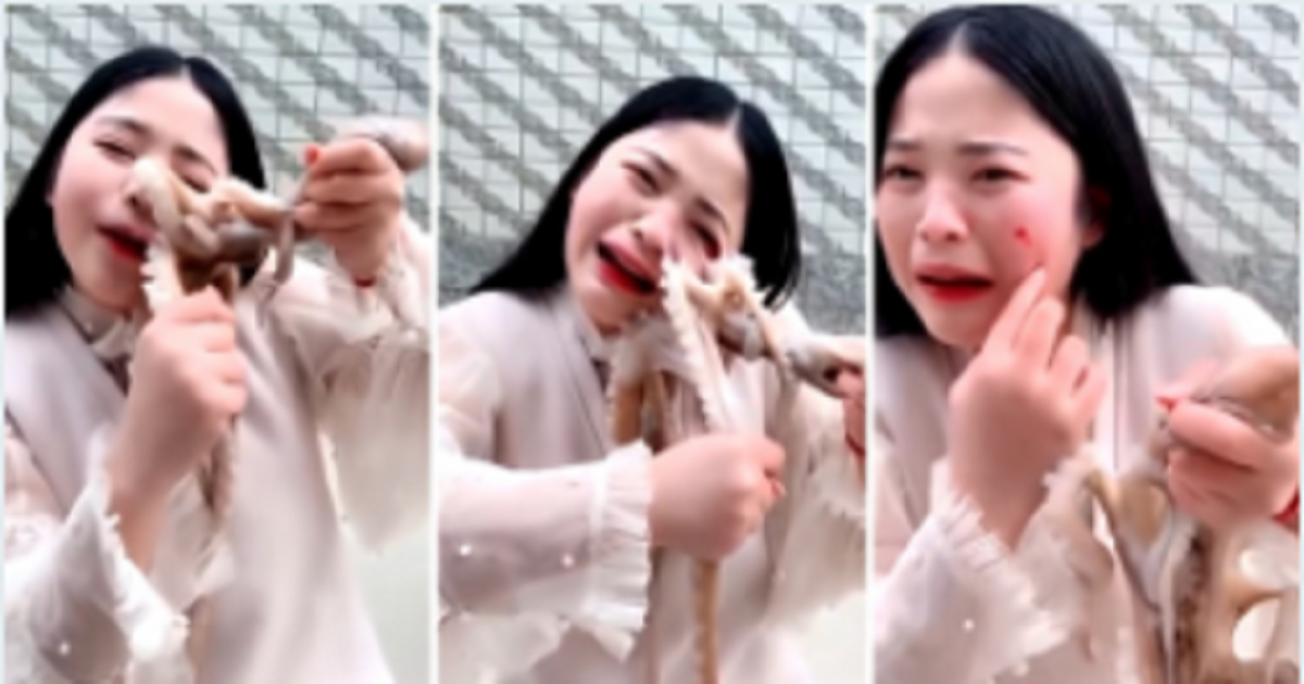 Vlogger Who Tried to Eat Live Octopus Receives Instant Karma