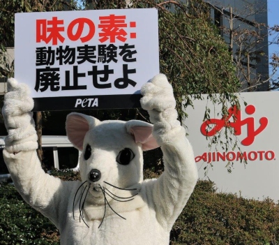 PETA Asks Ajinomoto to Stop Cutting Up Dogs for Pointless Tests at Shareholders Meeting