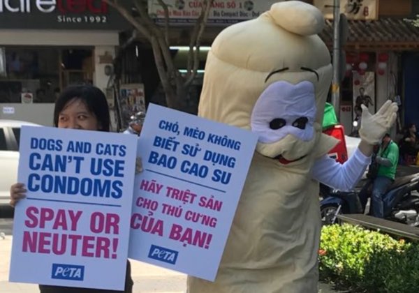 PHOTOS: PETA’s Giant, Dancing ‘Condom’ Promotes Animal Birth Control in Vietnam