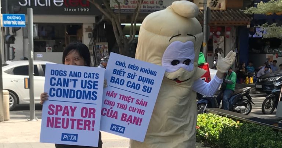 PHOTOS: PETA’s Giant, Dancing ‘Condom’ Promotes Animal Birth Control in Vietnam
