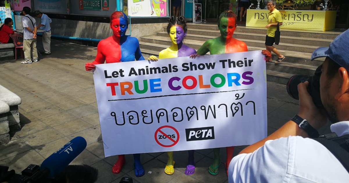 PHOTOS: Colorful PETA Protesters Call For Boycott of the Pata Zoo