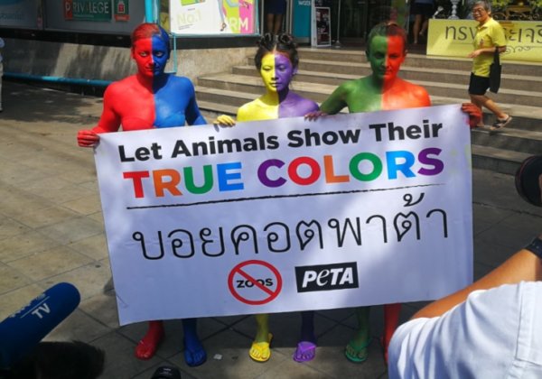 How PETA Helps Animals in Thailand