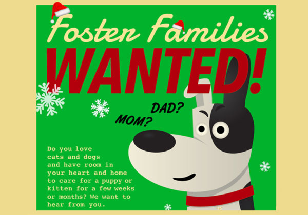 Metro Manila: At Home Over the Holidays? We Need Foster Parents
