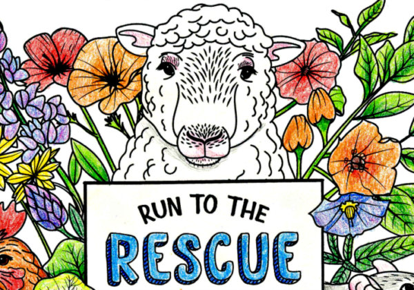 Bored? Get Creative With These PETA Coloring Pages