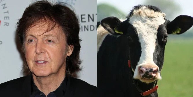 Paul McCartney’s Birthday Wish: ‘Watch My PETA Video and Ditch Meat’