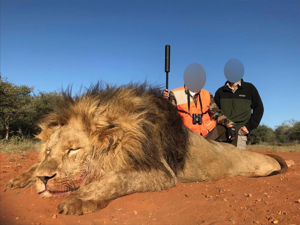 Hunter Kills Beloved Lion Outside the Same Park Where Cecil Was Killed