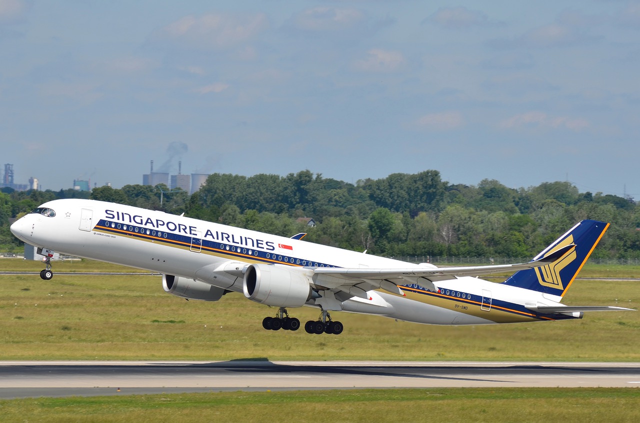 Hey, Singapore Airlines—This Is the Easiest Way to Help Offset Carbon Emissions on Your ‘Flights to Nowhere’
