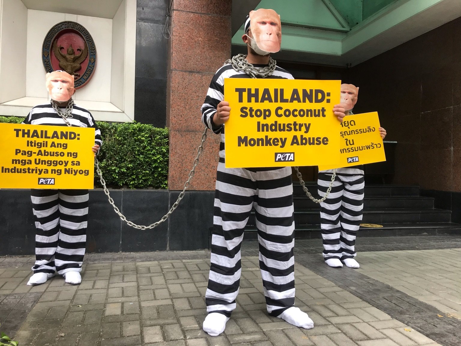 Photos: Chained ‘Monkeys’ Protest Thailand’s Cruel Use of Monkeys for Coconut Milk
