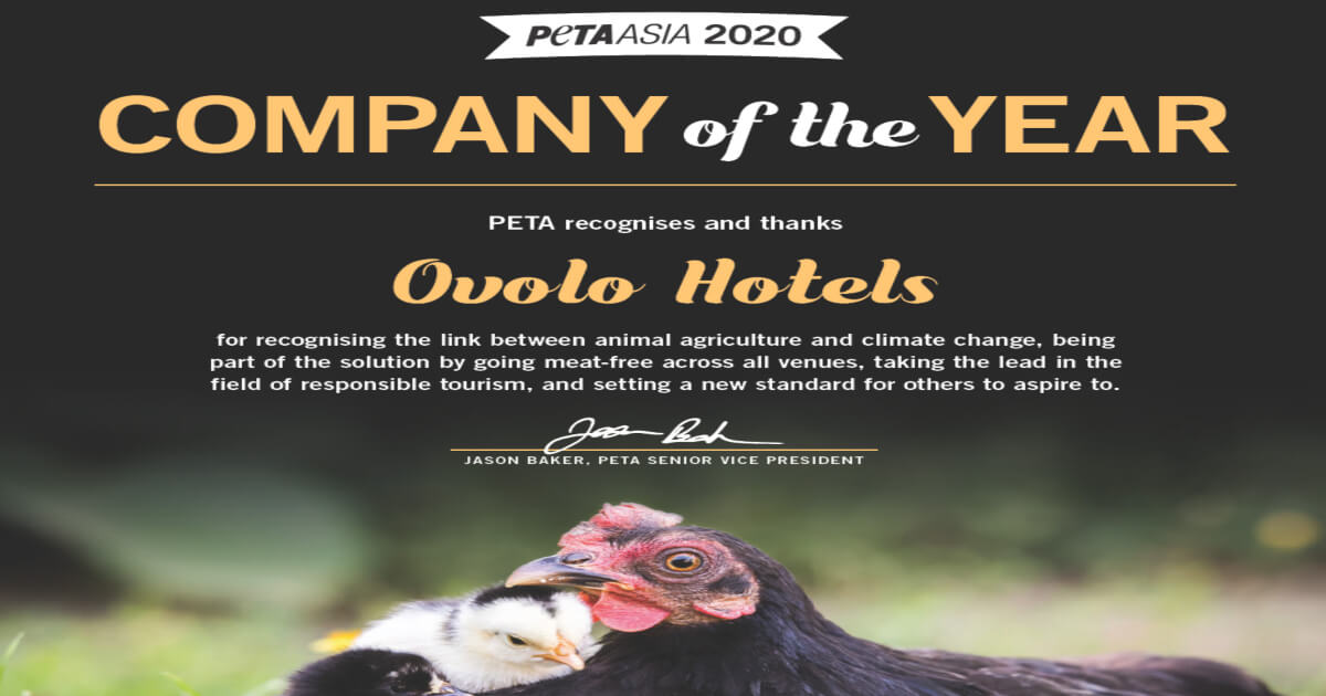 Ovolo Hotels is PETA Asia’s 2020 Company of the Year!
