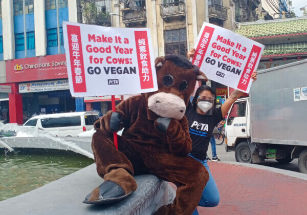 PETA’s Dancing ‘Cows’ Celebrate Chinese New Year
