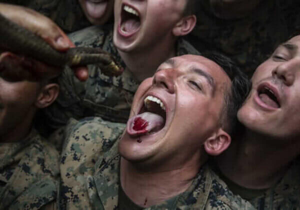 Victory! No Animals Beheaded, Eaten Alive in Marine Survival Training