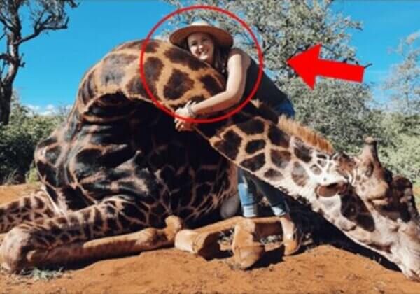 Trophy Hunter Posts Grisly Photos With Giraffe’s Cut-Out Heart