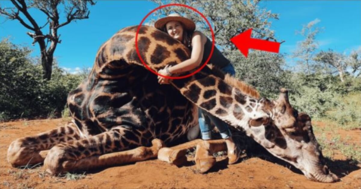 Trophy Hunter Posts Grisly Photos With Giraffe’s Cut-Out Heart