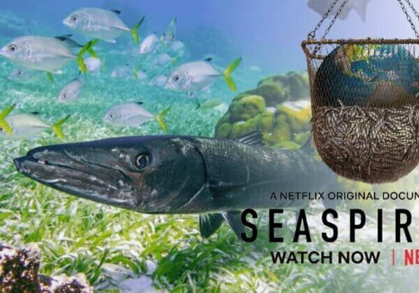 6 Things You’ll Learn From Netflix’s ‘Seaspiracy’