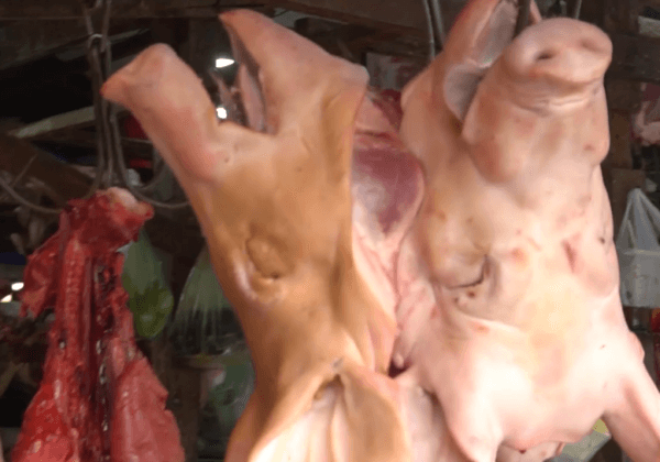 WHO’s New Live-Animal Market Call to Action: Too Little, Too Late?