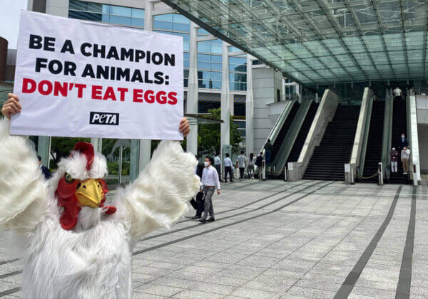 Why Did This ‘Chicken’ Protest Outside the Olympics HQ in Tokyo?