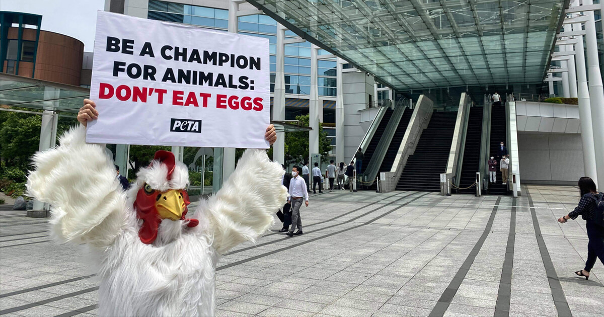 Why Did This ‘Chicken’ Protest Outside the Olympics HQ in Tokyo?