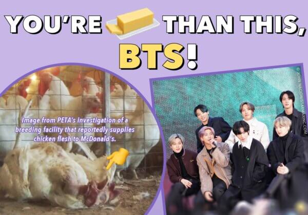 You’re Butter Than This, BTS! Stop Promoting Dead Chickens