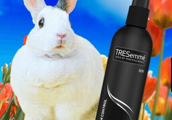 TRESemmé Bans All Animal Testing Worldwide!