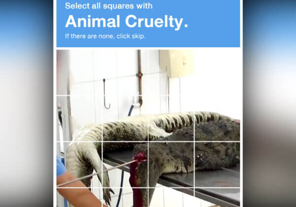 CAPTCHA Test: Are You a Human With a Heart?