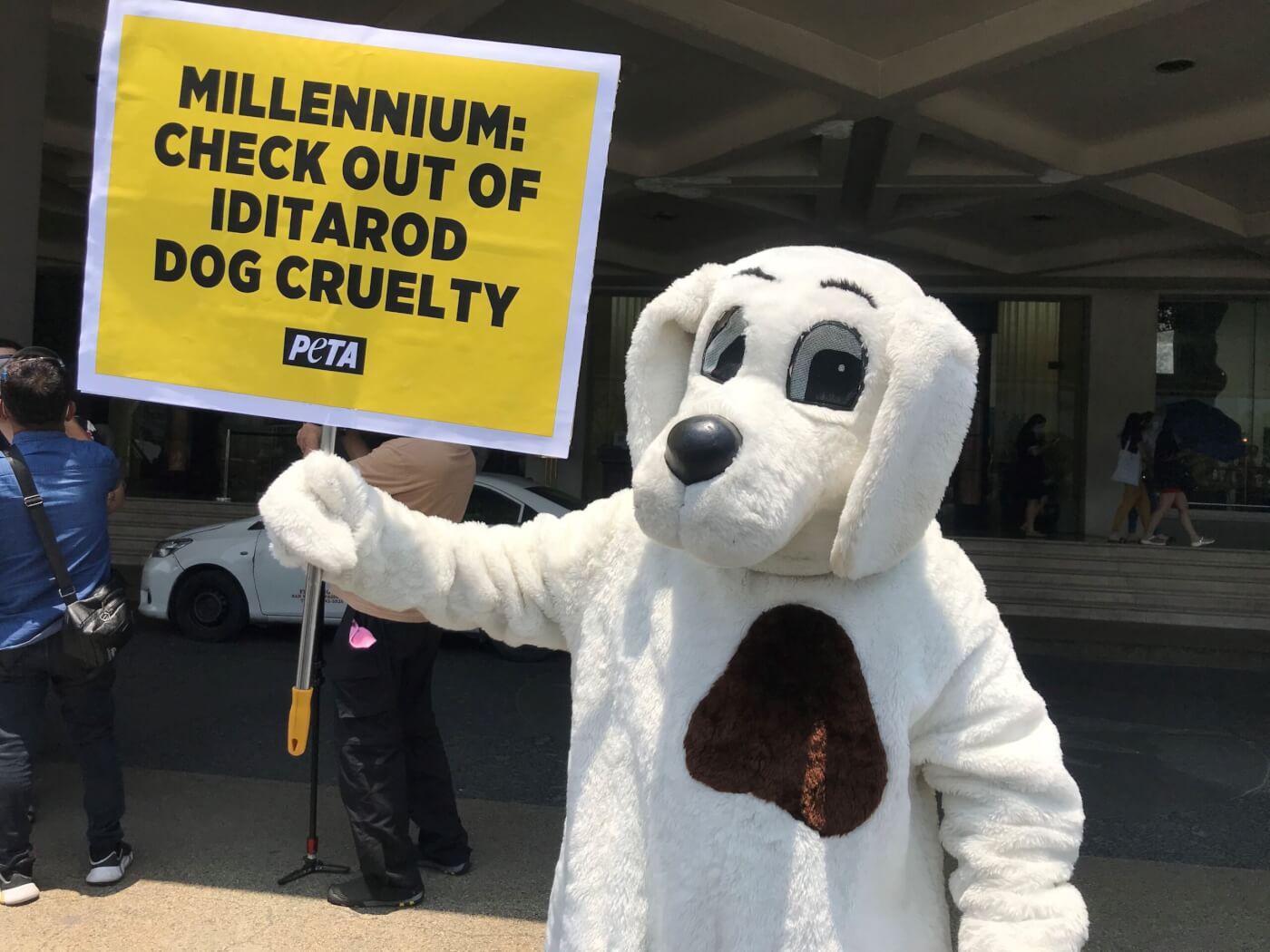 Over 150 Dogs Dead From the Iditarod—PETA ‘Dog’ Urges Millennium Hotels to Stop Sponsoring Cruelty!