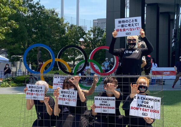 Photos: Caged Activists in Tokyo Protest Olympic Egg Cruelty