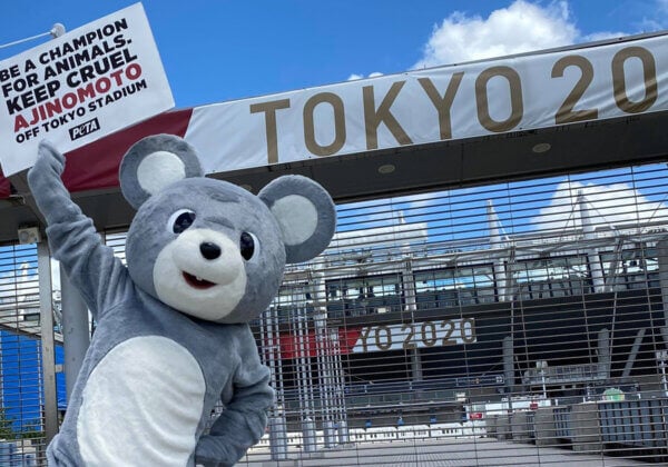 Photos: PETA ‘Rat’ Protests Tokyo Olympics Sponsor Ajinomoto Over Horrific Tests on Animals