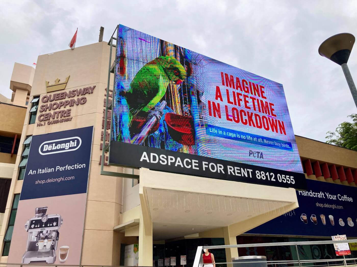 PETA’s New Billboards Show That Birds in Cages Are in Permanent Lockdown