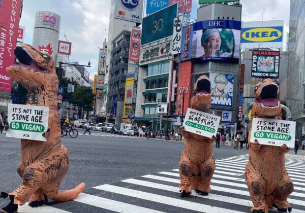 Why Did These PETA ‘Dinosaurs’ Run Across Shibuya Crossing in Tokyo?