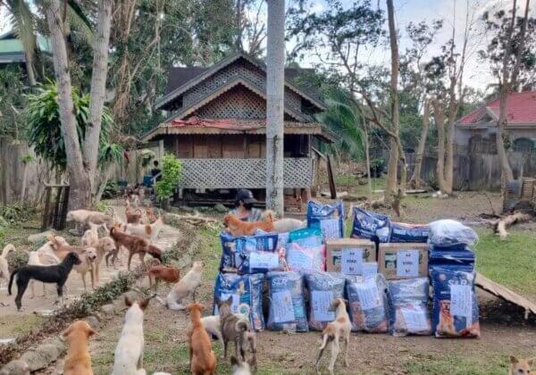 PETA Helps Animals Affected by Typhoon Rai