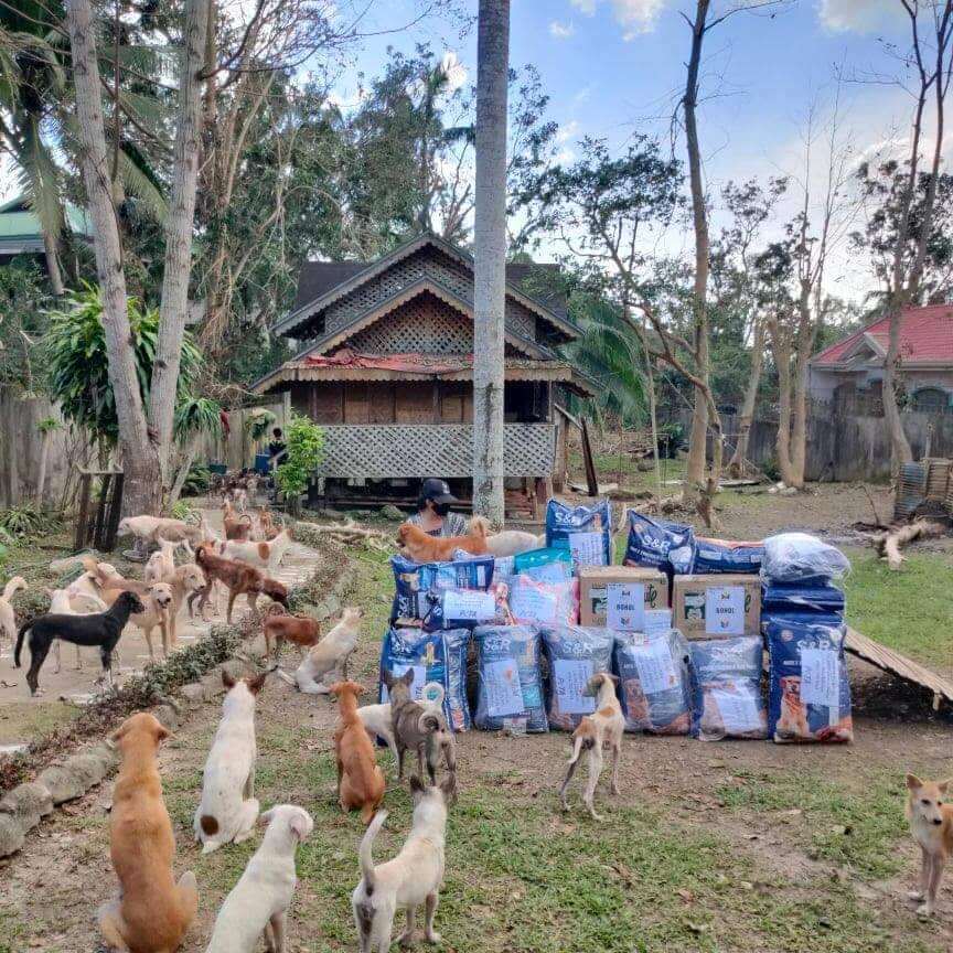 PETA Helps Animals Affected by Typhoon Rai